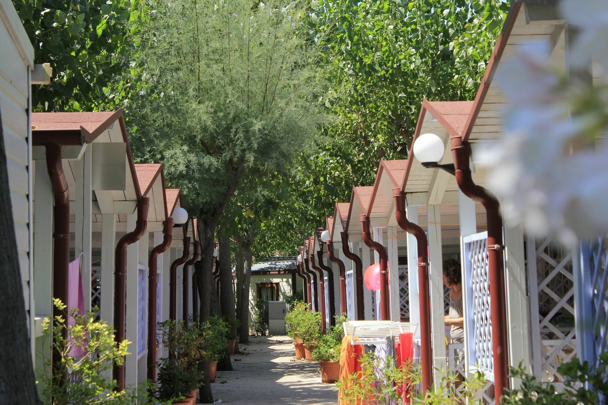 Centro Vacanze Camping Spinnaker Marina Palmense Esterno foto